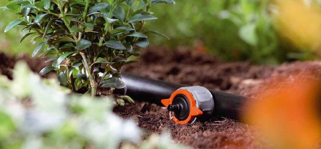 Microirrigazione in Sicilia