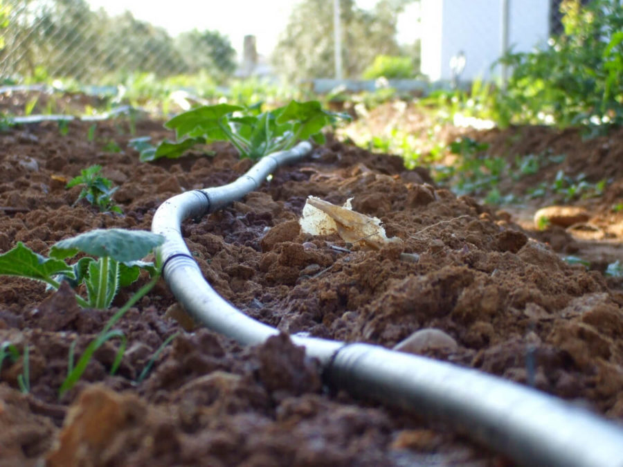 Progettazione impianti di irrigazione Sicilia